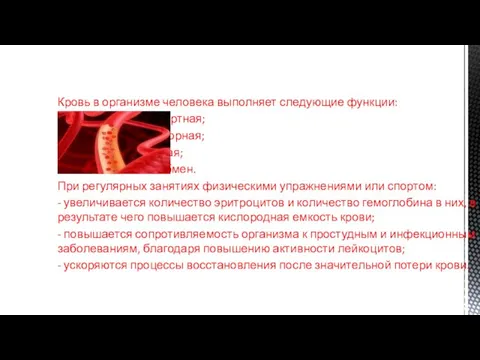 Кровь в организме человека выполняет следующие функции: - транспортная; - регуляторная; -