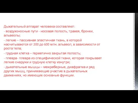 Дыхательный аппарат человека составляют: - воздухоносные пути - носовая полость, трахея, бронхи,