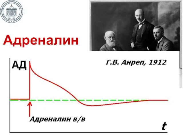 Адреналин