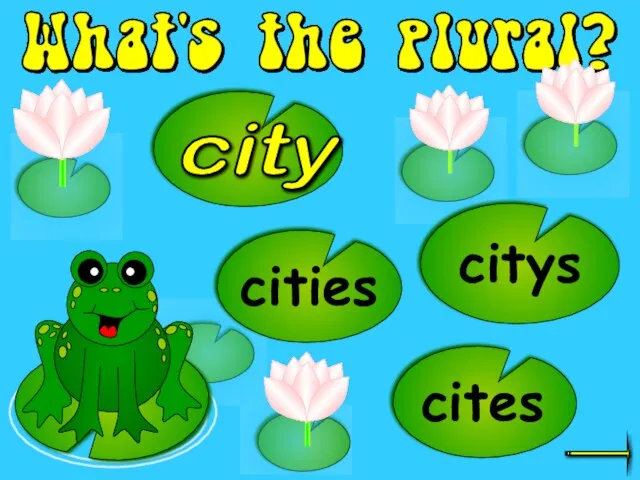 cites cities citys city