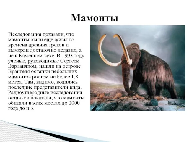 Исследования доказали, что мамонты были еще живы во времена древних греков и