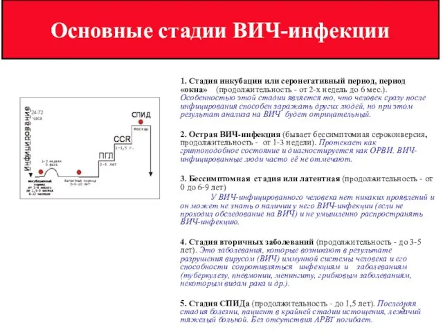 1. Стадия инкубации или серонегативный период, период «окна» (продолжительность - от 2-х