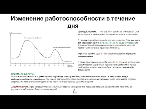 Изменение работоспособности в течение дня Циркадные ритмы — это биологические часы человека.