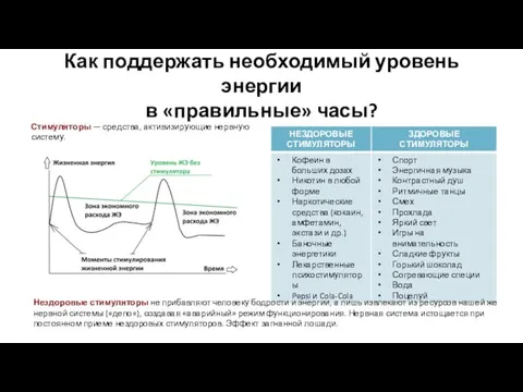 Как поддержать необходимый уровень энергии в «правильные» часы? Стимуляторы — средства, активизирующие