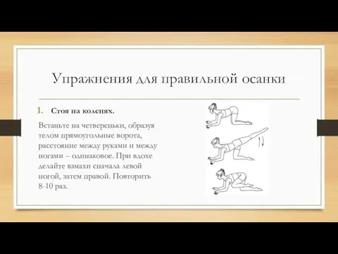 Упражнения для правильной осанки Стоя на коленях. Встаньте на четвереньки, образуя телом