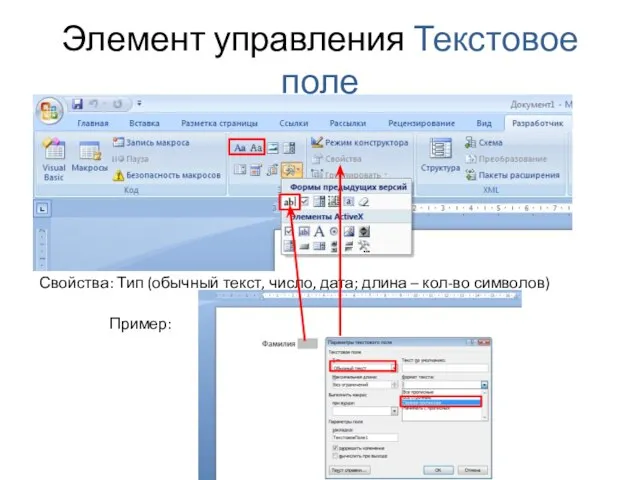 Элемент управления Текстовое поле Свойства: Тип (обычный текст, число, дата; длина – кол-во символов) Пример: