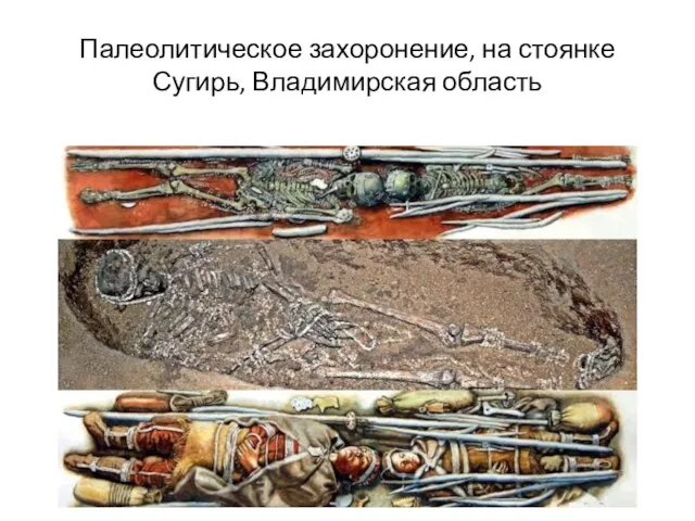 Палеолитическое захоронение, на стоянке Сугирь, Владимирская область