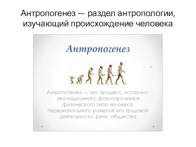 Антропогенез — раздел антропологии, изучающий происхождение человека
