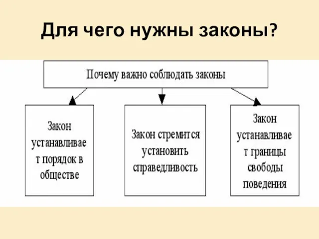 Для чего нужны законы?