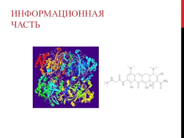 ИНФОРМАЦИОННАЯ ЧАСТЬ