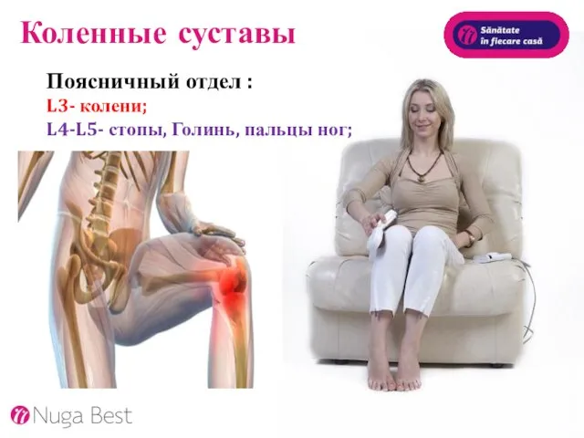Коленные суставы Поясничный отдел : L3- колени; L4-L5- стопы, Голинь, пальцы ног;