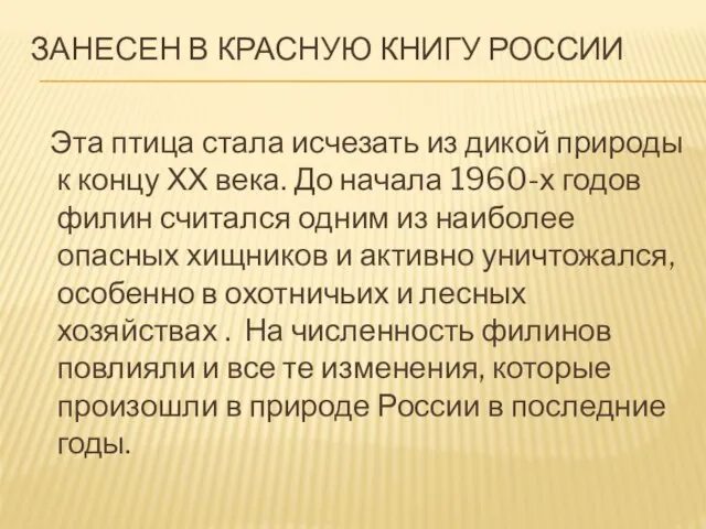 ЗАНЕСЕН В КРАСНУЮ КНИГУ РОССИИ Эта птица стала исчезать из дикой природы