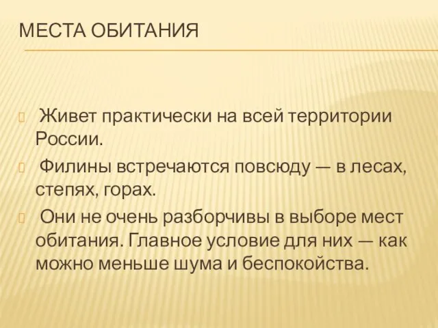 МЕСТА ОБИТАНИЯ Живет практически на всей территории России. Филины встречаются повсюду —