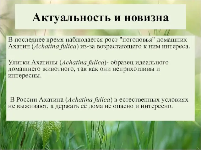 Актуальность и новизна В последнее время наблюдается рост "поголовья" домашних Ахатин (Achatina