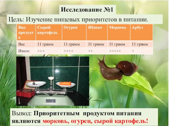 Исследование №1 Цель: Изучение пищевых приоритетов в питании. Вывод: Приоритетным продуктом питания