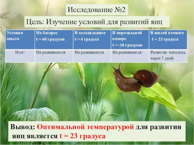 Исследование №2 Цель: Изучение условий для развитий яиц Вывод: Оптимальной температурой для