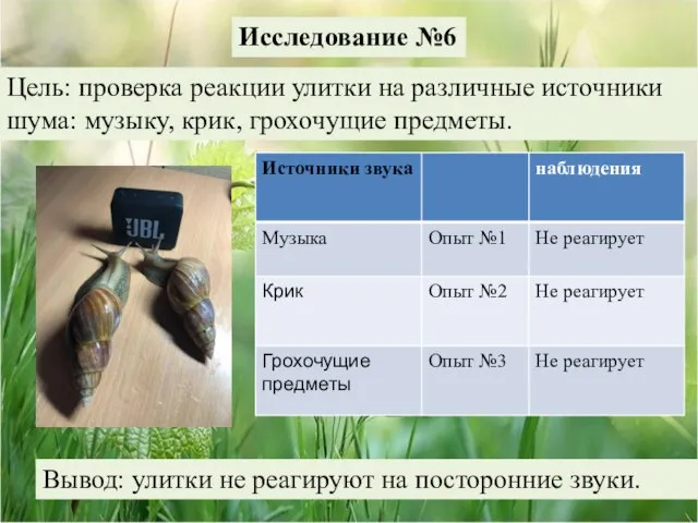 Исследование №6 Цель: проверка реакции улитки на различные источники шума: музыку, крик,