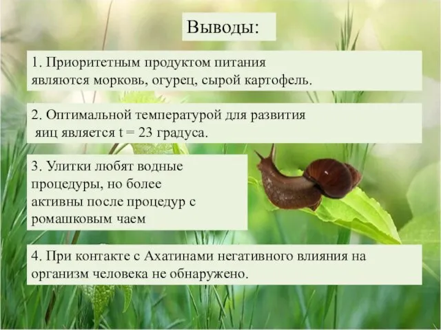 Выводы: 1. Приоритетным продуктом питания являются морковь, огурец, сырой картофель. 2. Оптимальной