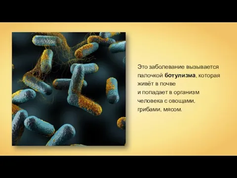Это заболевание вызывается палочкой ботулизма, которая живёт в почве и попадает в