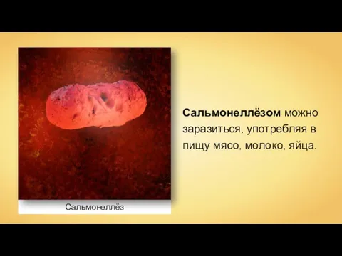 Сальмонеллёз Сальмонеллёзом можно заразиться, употребляя в пищу мясо, молоко, яйца.