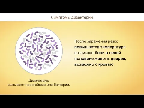 Cимптомы дизентерии После заражения резко повышается температура, возникают боли в левой половине