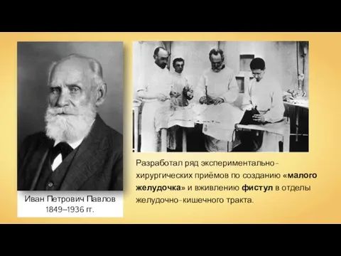 Иван Петрович Павлов 1849‒1936 гг. Разработал ряд экспериментально-хирургических приёмов по созданию «малого