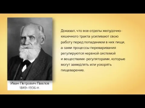 Иван Петрович Павлов 1849‒1936 гг. Доказал, что все отделы желудочно-кишечного тракта усиливают