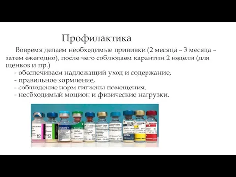 Профилактика Вовремя делаем необходимые прививки (2 месяца – 3 месяца – затем