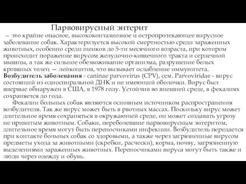 Парвовирусный энтерит — это крайне опасное, высококонтазиозное и остропротекающее вирусное заболевание собак.