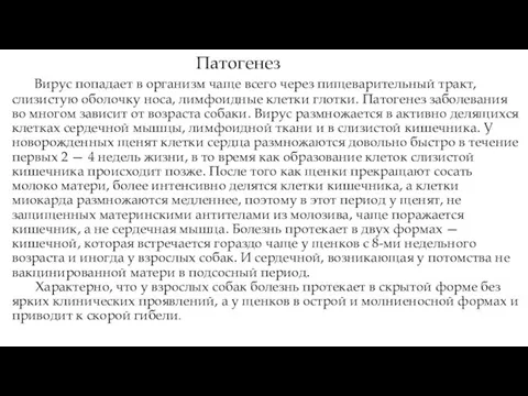 Патогенез Вирус попадает в организм чаще всего через пищеварительный тракт, слизистую оболочку