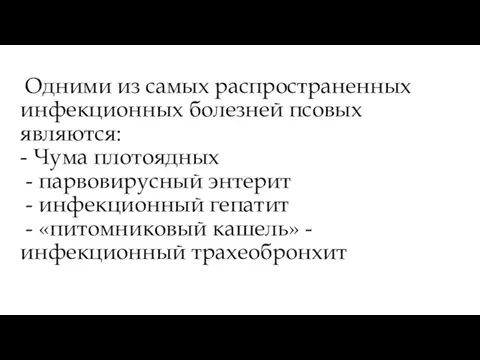 Одними из самых распространенных инфекционных болезней псовых являются: - Чума плотоядных -