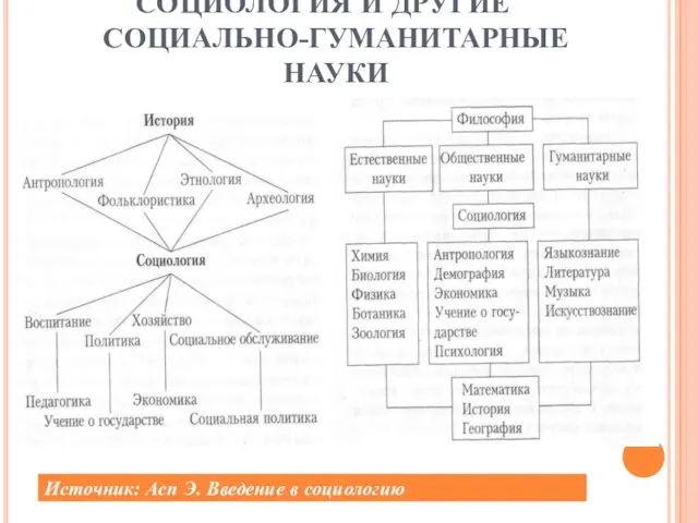 СОЦИОЛОГИЯ И ДРУГИЕ СОЦИАЛЬНО-ГУМАНИТАРНЫЕ НАУКИ Источник: Асп Э. Введение в социологию