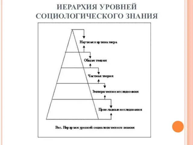 ИЕРАРХИЯ УРОВНЕЙ СОЦИОЛОГИЧЕСКОГО ЗНАНИЯ