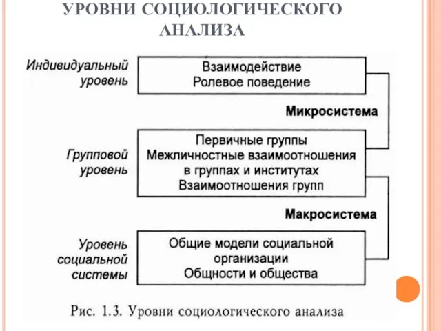 УРОВНИ СОЦИОЛОГИЧЕСКОГО АНАЛИЗА