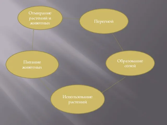 Отмирание растений и животных Перегной Образование солей Использование растений Питание животных