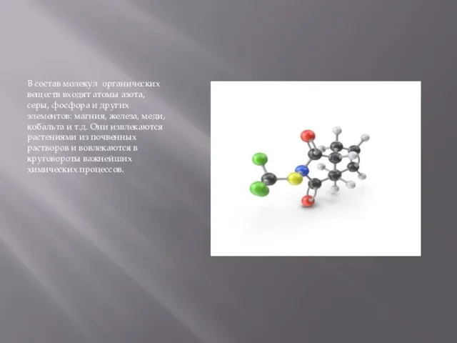 В состав молекул органических веществ входят атомы азота, серы, фосфора и других