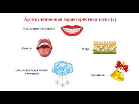 Артикуляционная характеристика звука [с] Губы в широкой улыбке Язычок Зубки Воздушная струя тонкая и холодная Горлышко