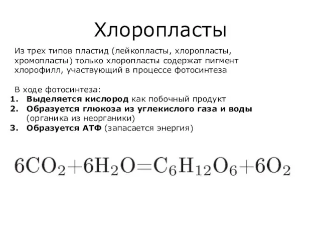 Хлоропласты Из трех типов пластид (лейкопласты, хлоропласты, хромопласты) только хлоропласты содержат пигмент