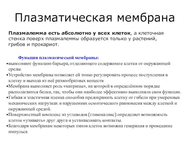 Плазматическая мембрана Плазмалемма есть абсолютно у всех клеток, а клеточная стенка поверх