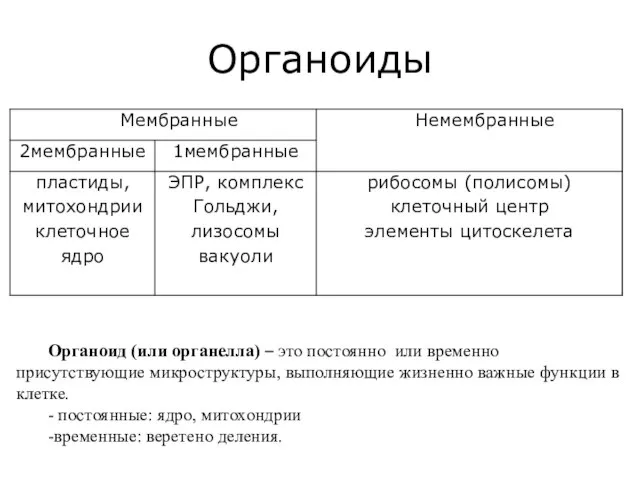 Органоиды Органоид (или органелла) – это постоянно или временно присутствующие микроструктуры, выполняющие