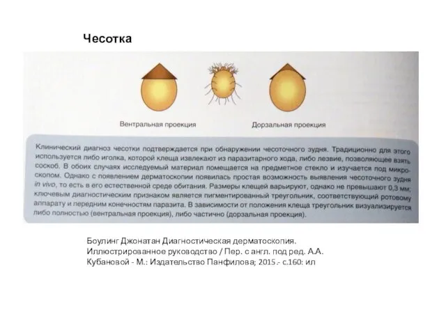 Чесотка Боулинг Джонатан Диагностическая дерматоскопия. Иллюстрированное руководство / Пер. с англ. под