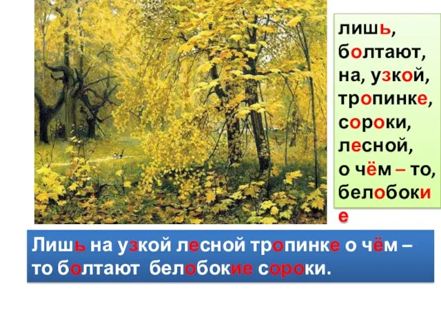 Лишь на узкой лесной тропинке о чём – то болтают белобокие сороки.