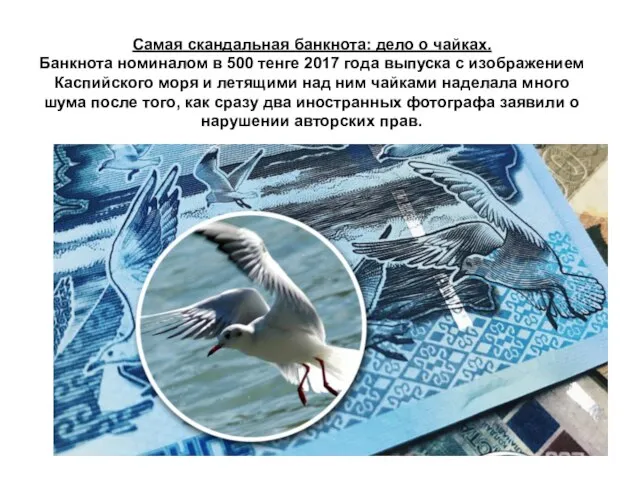Самая скандальная банкнота: дело о чайках. Банкнота номиналом в 500 тенге 2017
