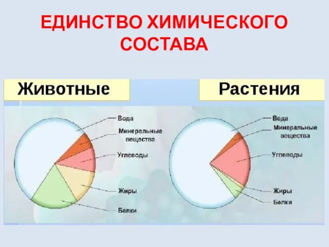 ЕДИНСТВО ХИМИЧЕСКОГО СОСТАВА