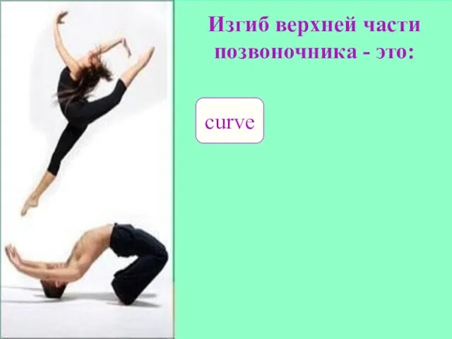 Изгиб верхней части позвоночника - это: curve