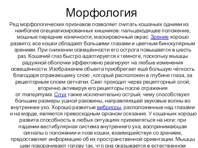 Морфология Ряд морфологических признаков позволяет считать кошачьих одними из наиболее специализированных хищников: