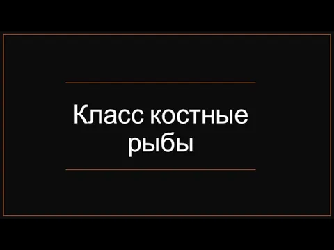 Класс костные рыбы