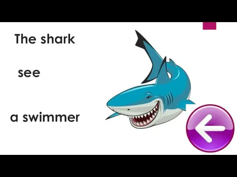 see The shark a swimmer