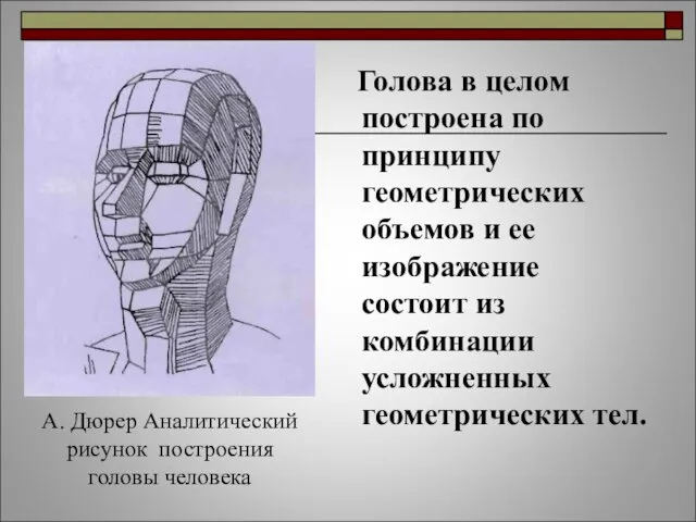 Голова в целом построена по принципу геометрических объемов и ее изображение состоит