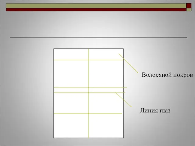 Волосяной покров Линия глаз